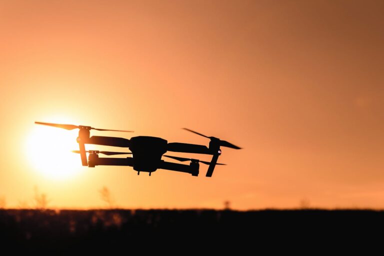 O dronă militară s-a prăbușit în Insula Mare a Brăilei